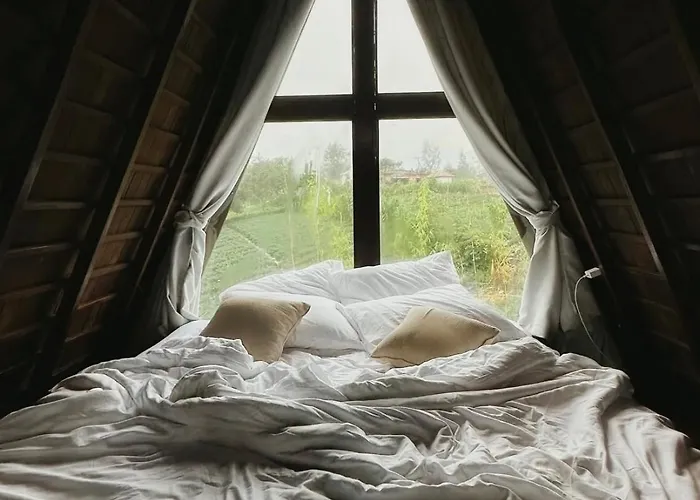 Alina *